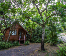 Imvubu Lodge - Standard Chalet